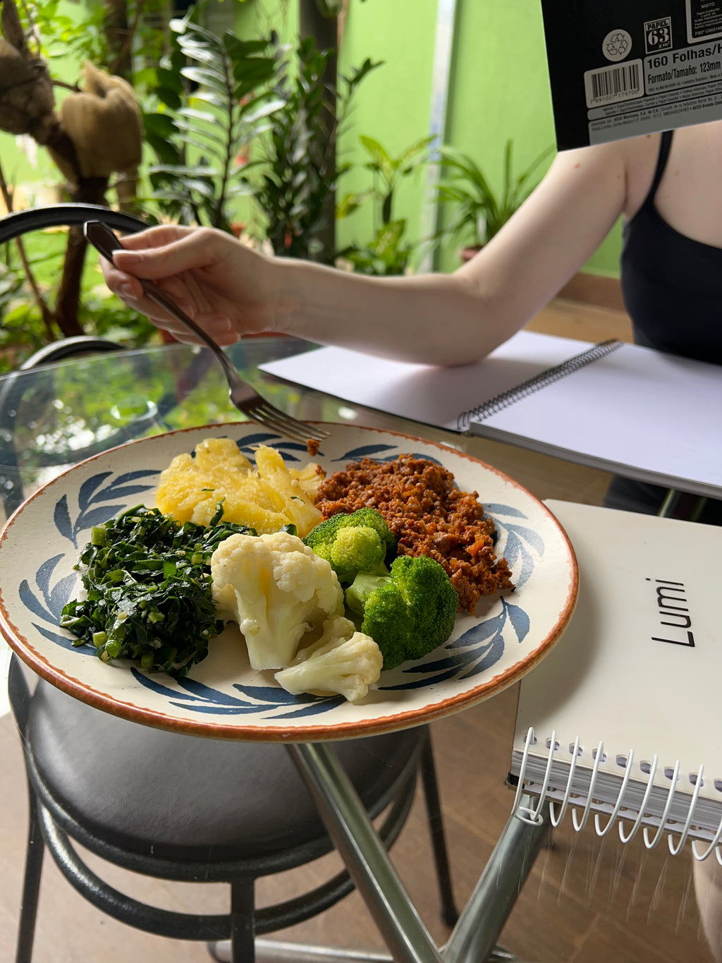 Marmita E - Carne moída 300 gramas