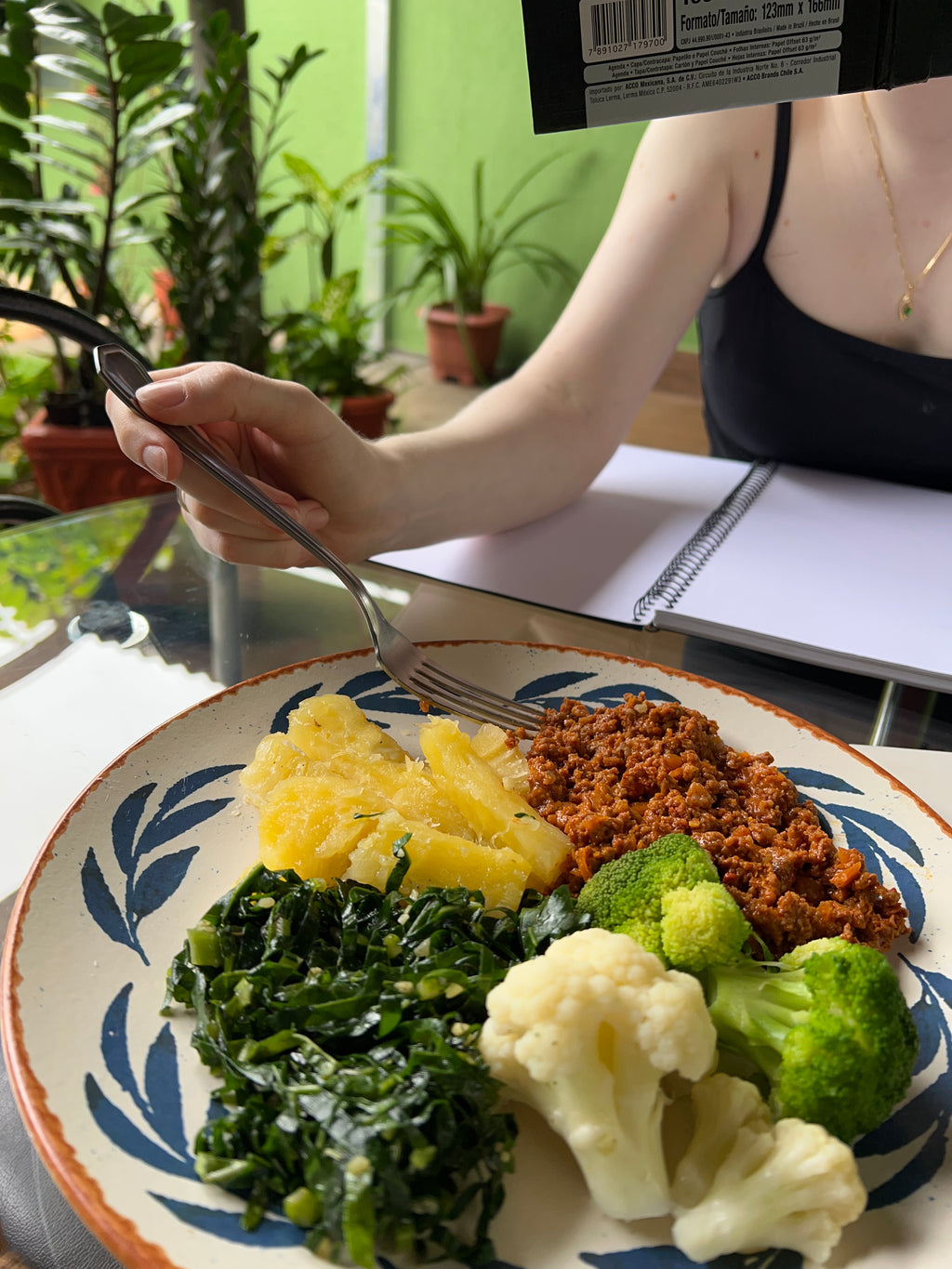 Marmita E - Carne moída 400 gramas